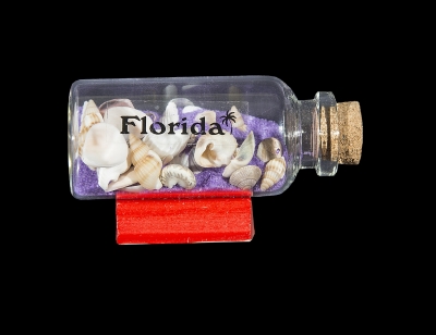 G1029 - Bottle Magnet with Sand & Shells on Wood Base - Assorted Colors