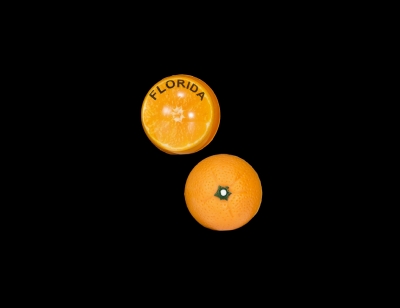 1693 -  Orange Bouncy Ball