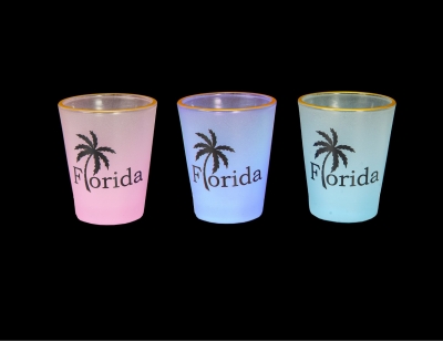 1704  -  Two Tone Pastel Shot Glass - Palm Design - 3 Assorted Colors