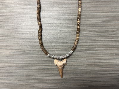 SN-4121 - Genuine Shark Tooth Necklace w/ Coconut & Heishi Beads
