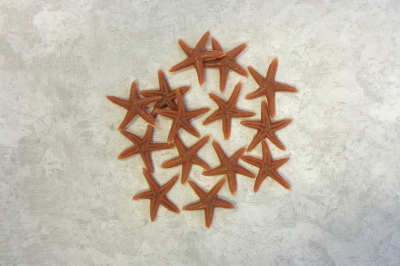 7018 - Plastic Starfish 1x1" - Brown