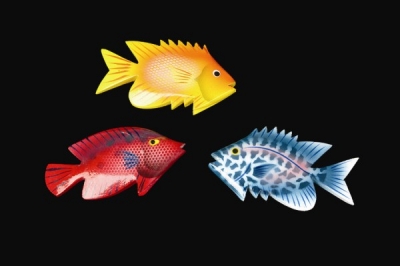 Wooden Tropical Fish 3"